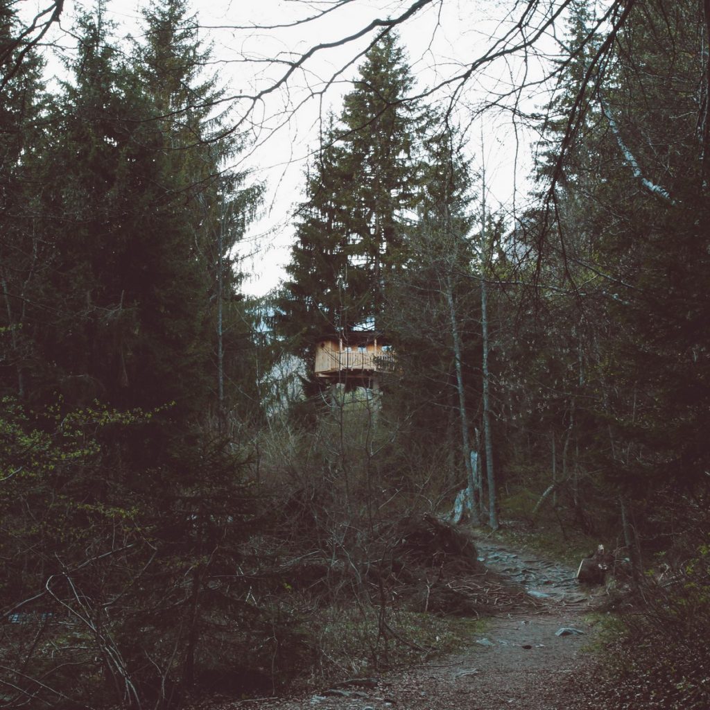 Cabane dans les bois