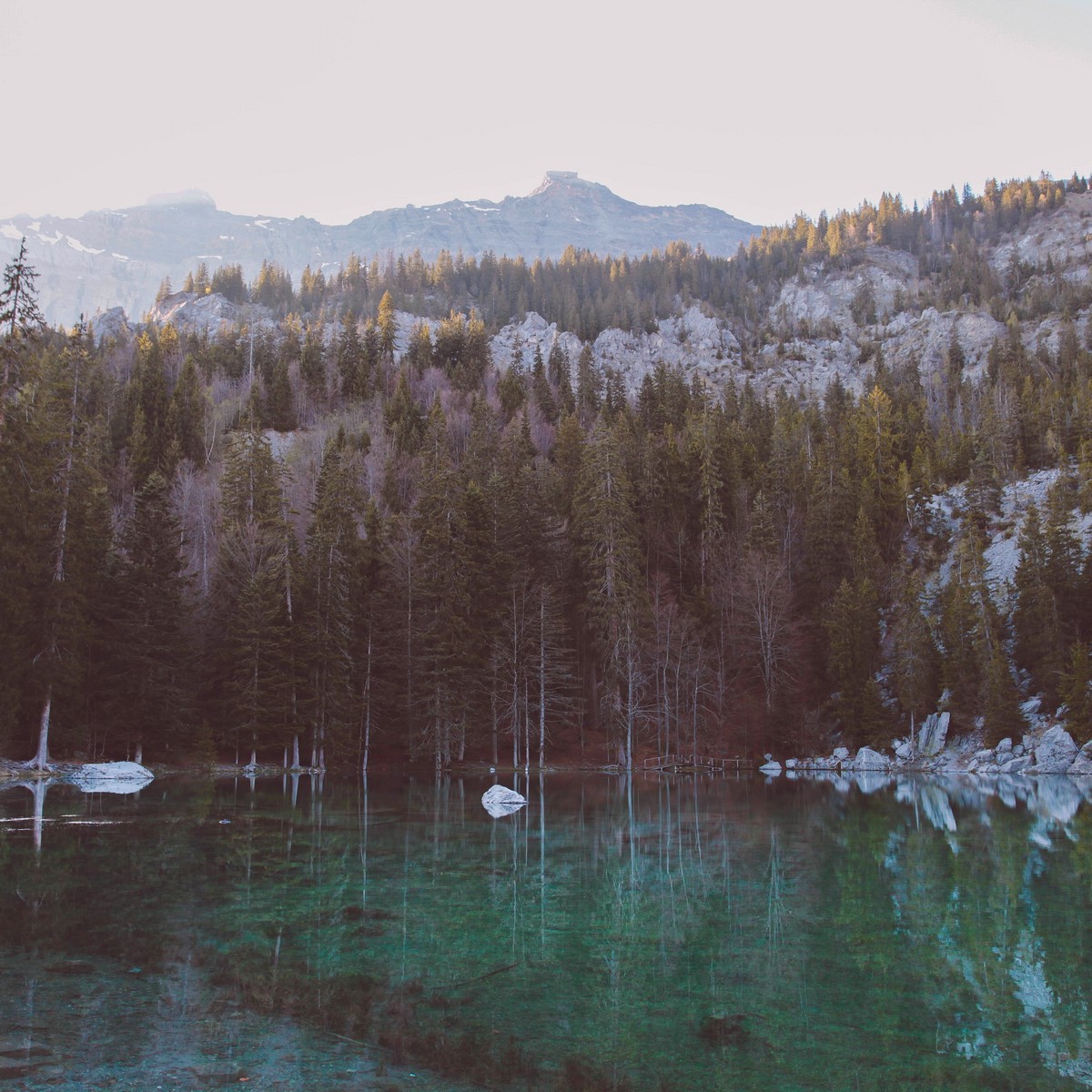 Lac Vert, Haute-Savoie